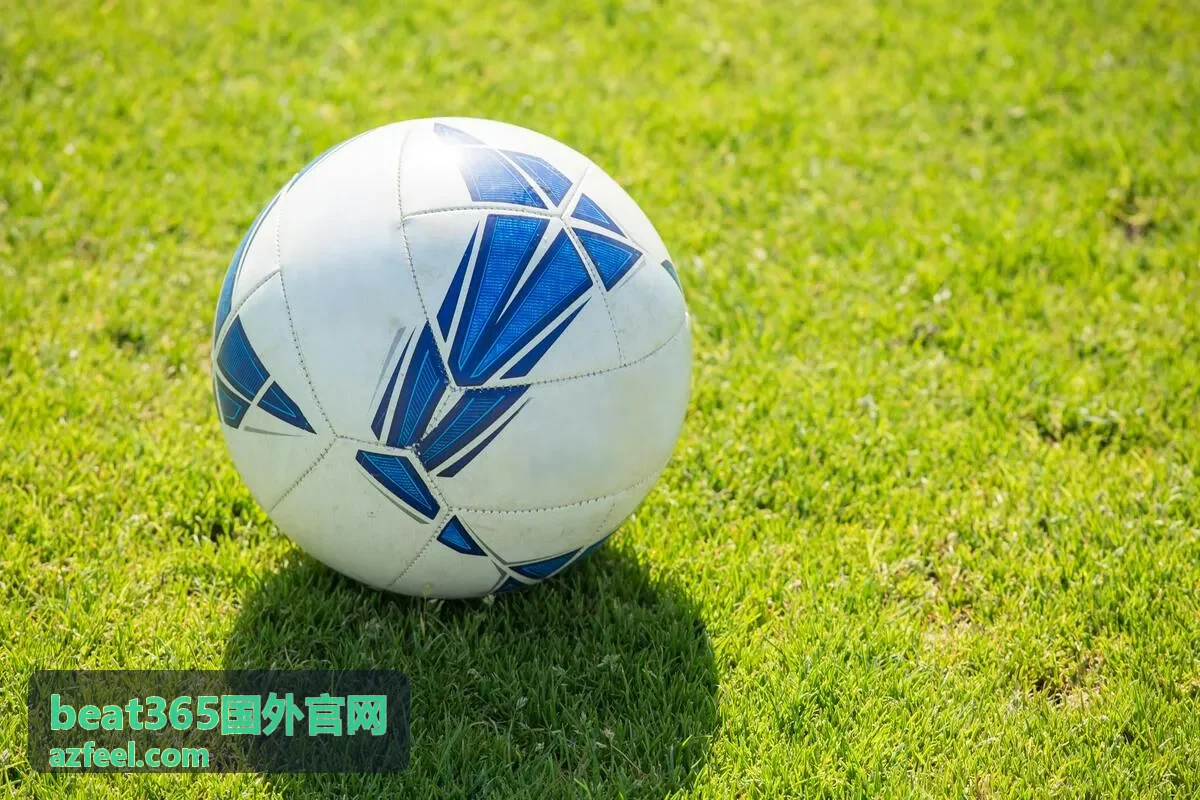 beat365国外官网数据统计栏目内容预览